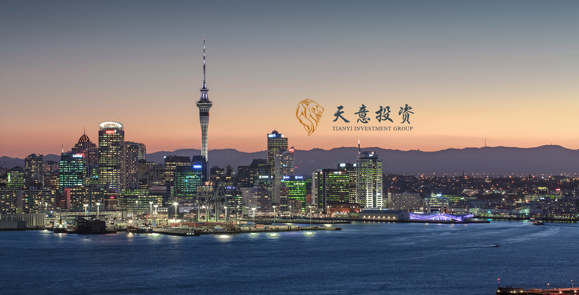 Tianyi Investment Group